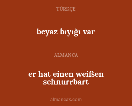 beyaz bıyığı var - er hat einen weißen schnurrbart