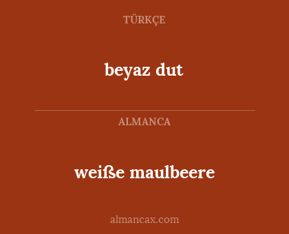 weiße maulbeere - beyaz dut