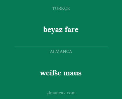 weiße maus - beyaz fare
