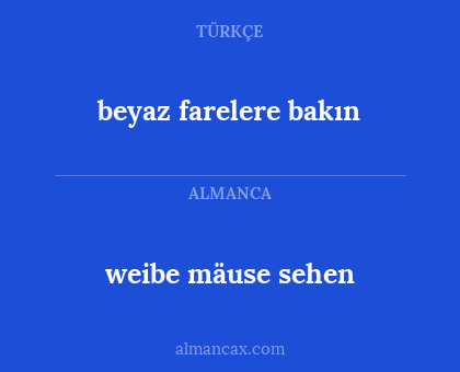 beyaz farelere bakın - weibe mäuse sehen