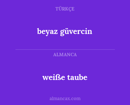 beyaz güvercin - weiße taube