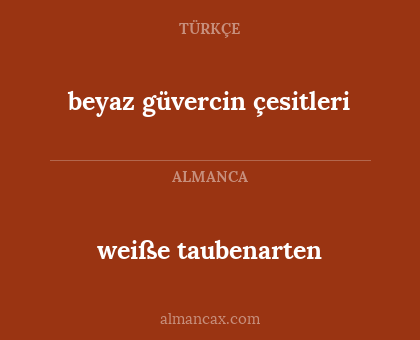 beyaz güvercin çesitleri - weiße taubenarten