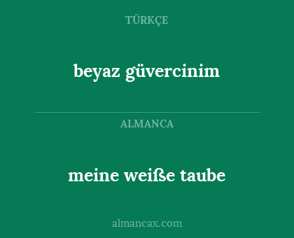beyaz güvercinim - meine weiße taube