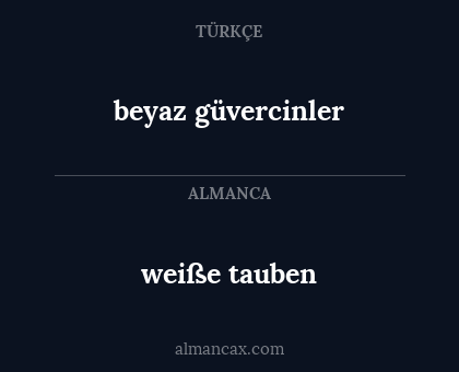 beyaz güvercinler - weiße tauben