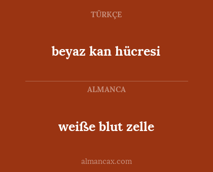 weiße blut zelle - beyaz kan hücresi