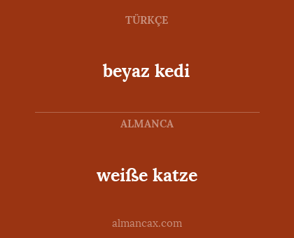 weiße katze - beyaz kedi