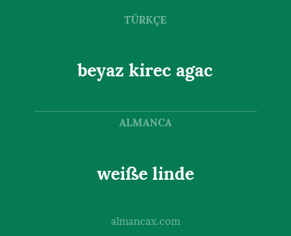 weiße linde - beyaz kirec agac