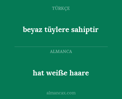 hat weiße haare - beyaz tüylere sahiptir