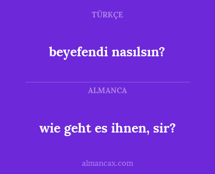 wie geht es ihnen, sir? - beyefendi nasılsın?