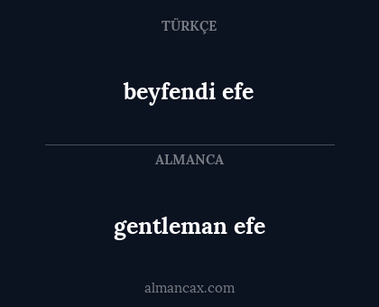 beyfendi efe - gentleman efe