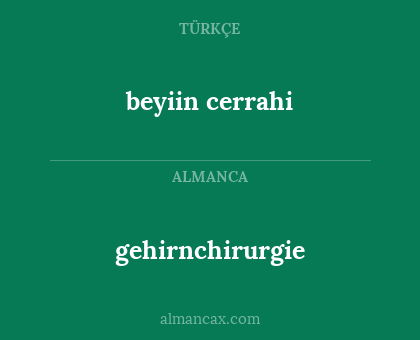 gehirnchirurgie - beyiin cerrahi