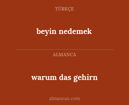 warum das gehirn - beyin nedemek