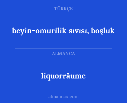 beyin-omurilik sıvısı, boşluk - liquorräume
