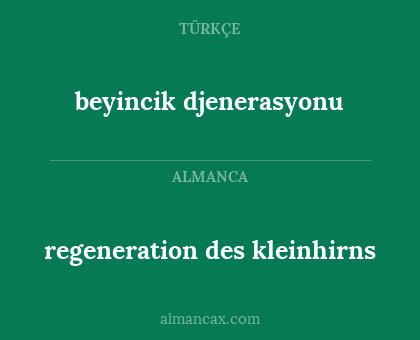 beyincik djenerasyonu - regeneration des kleinhirns