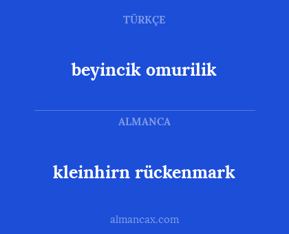 kleinhirn rückenmark - beyincik omurilik