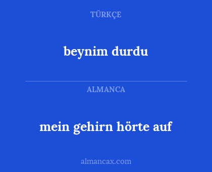 beynim durdu - mein gehirn hörte auf