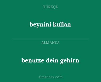 benutze dein gehirn - beynini kullan