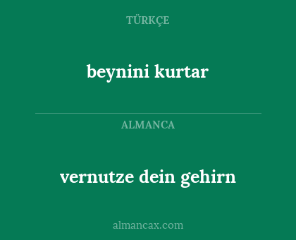 vernutze dein gehirn - beynini kurtar