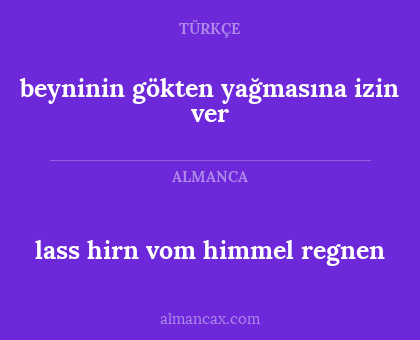 lass hirn vom himmel regnen - beyninin gökten yağmasına izin ver