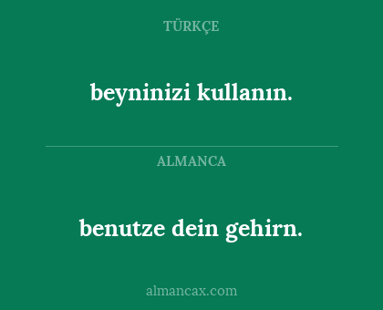 beyninizi kullanın. - benutze dein gehirn.