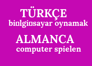 bi%CC%87lgi%CC%87sayar+oynamak-computer+spielen.png