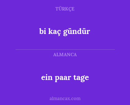 bi kaç gündür - ein paar tage