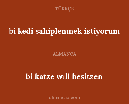 bi katze will besitzen - bi kedi sahiplenmek istiyorum