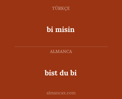 bi misin - bist du bi