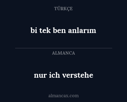 nur ich verstehe - bi tek ben anlarım