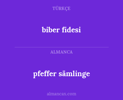 pfeffer sämlinge - biber fidesi