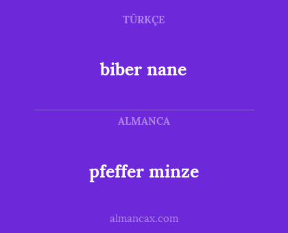 biber nane - pfeffer minze