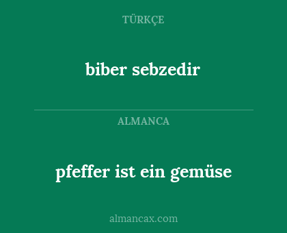 biber sebzedir - pfeffer ist ein gemüse