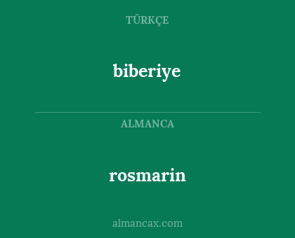 rosmarin - biberiye