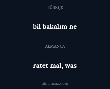 ratet mal, was - bil bakalım ne