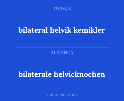 bilateral helvik kemikler - bilaterale helvicknochen