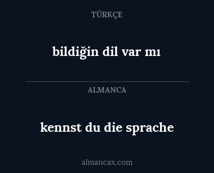 bildiğin dil var mı - kennst du die sprache
