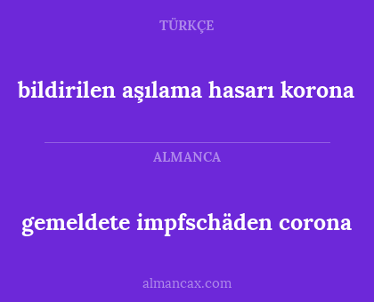 gemeldete impfschäden corona - bildirilen aşılama hasarı korona