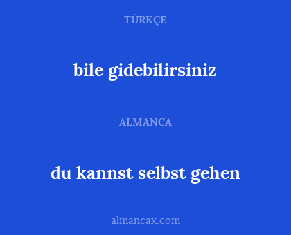 bile gidebilirsiniz - du kannst selbst gehen