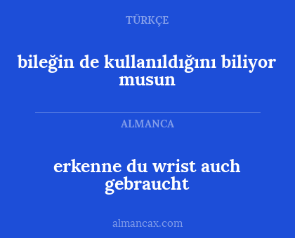 bileğin de kullanıldığını biliyor musun - erkenne du wrist auch gebraucht