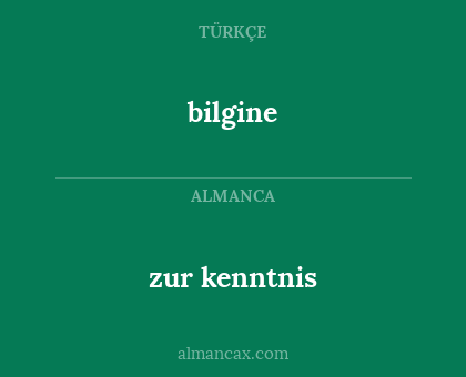 zur kenntnis - bilgine