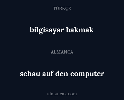 schau auf den computer - bilgisayar bakmak