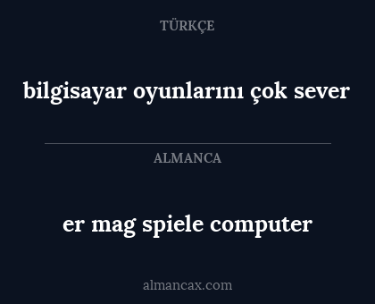 er mag spiele computer - bilgisayar oyunlarını çok sever