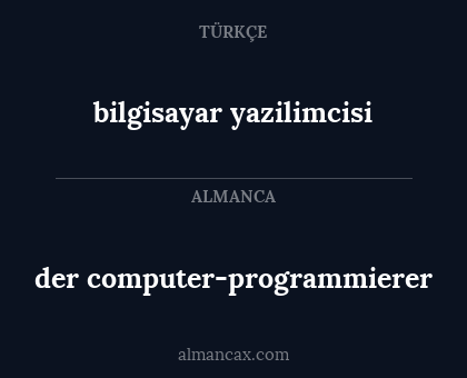 der computer-programmierer - bilgisayar yazilimcisi