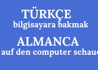 bilgisayara+bakmak-auf+den+computer+schauen.png