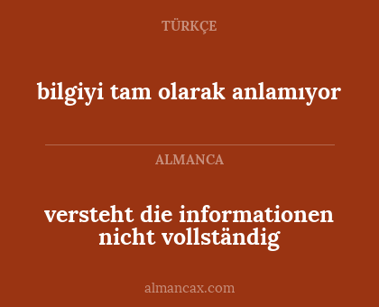 bilgiyi tam olarak anlamıyor - versteht die informationen nicht vollständig