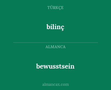 bewusstsein - bilinç