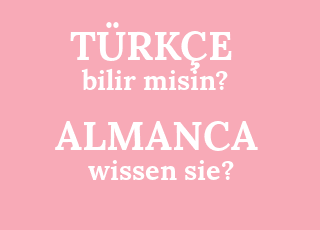 bilir+misin%3F-wissen+sie%3F.png