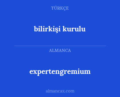 expertengremium - bilirkişi kurulu