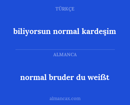biliyorsun normal kardeşim - normal bruder du weißt