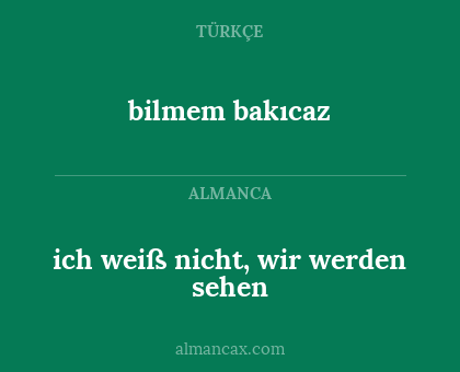 bilmem bakıcaz - ich weiß nicht, wir werden sehen